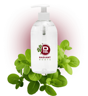 Shea Alovera Butter Coconut Shampoo